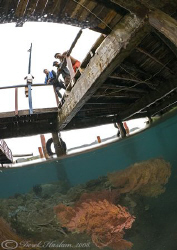 Sea fan's under KBR pier. Lembeh strait's. D200, 10.5mm. by Derek Haslam 